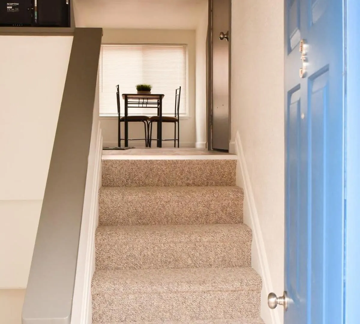 Unwind In A Bright Comfortable Apartment For 3 Pittsburgh United States